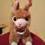 Tracy Lafferty Hiltebeitel's profile image