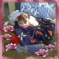 Bonnie Garson's profile image