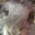 Ajc Dav's profile image