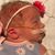 Amy Beth Ladd's profile image