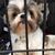 Maureen Tracy's profile image