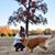 Carrie Wright Benick's profile image