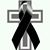 Celso E Perez's profile image