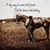 Marcey Hodshire's profile image