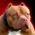 Juan Gonzalez's profile image