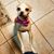 Diane Fields's profile image