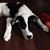Juanita Fling's profile image