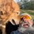 L. Ray Verschuyl's profile image