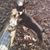 Garland Peewee Tripp's profile image