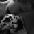 Amanda Cegla's profile image