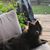 Carrie Kincade Howell's profile image