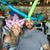 Jordan Greenberg's profile image
