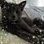 Kathryn Young's profile image