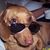 Jim Bornhorst's profile image