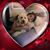 Lynda Cohen's profile image