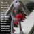 Sandi Stewart's profile image