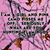 Lori Beamer's profile image