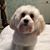 Kathy Graham Blumer's profile image