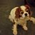 Cathi Engel's profile image