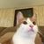 Carol Tuft's profile image