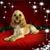 Heather Nelson's profile image