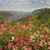 Wilma Ehrhardt's profile image