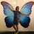 Lauren Kolowski's profile image