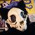 Felix Angel Cangas's profile image