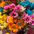 Madaline Clark-Rockey's profile image