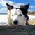 Sandy Clark's profile image