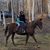 Hallie Weeks's profile image