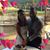 Heather Haverfield Smith's profile image