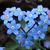 Dorota Tokarska's profile image