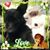 Linda Kuhl-Vogel's profile image