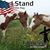 Diane George Thompson's profile image