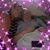 Abigail Ticknor's profile image