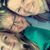 Judy Rau's profile image
