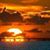 Janet Daugherty's profile image