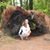 Catherine F. Sowder's profile image