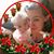 Leslie Ann Chapin's profile image
