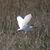 Ruth C. Smith's profile image