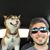 Anthony Cassano's profile image