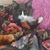 Jillian Phillips's profile image
