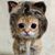 Ken Robinson's profile image