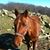 Donna Shultz Owens's profile image