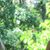 Helen Knight's profile image