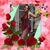 Jasmen Martinez's profile image