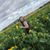 Abby Lou Billingsley's profile image