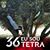 Roberto Radu's profile image