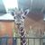 Curt Luter's profile image